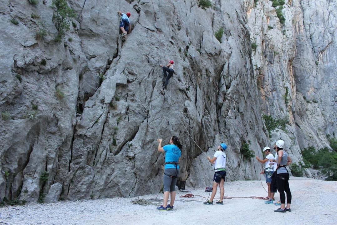 Photo of Others in Petrcane