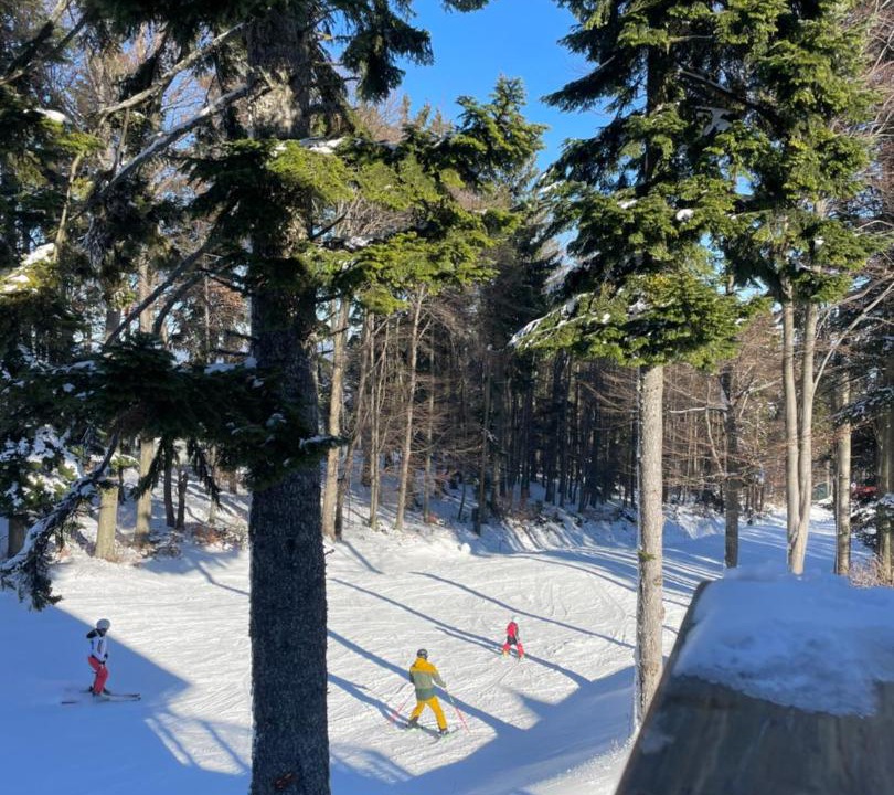 Photo of Others in Hocko Pohorje
