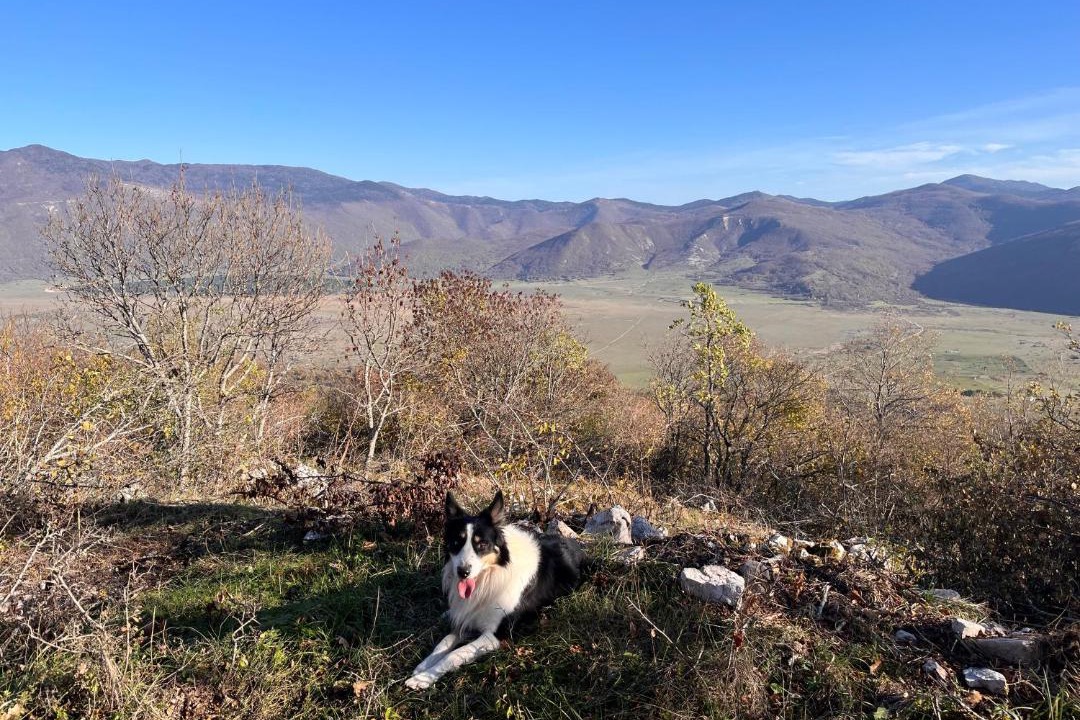 Photo of Others in Plitvicka Jezera