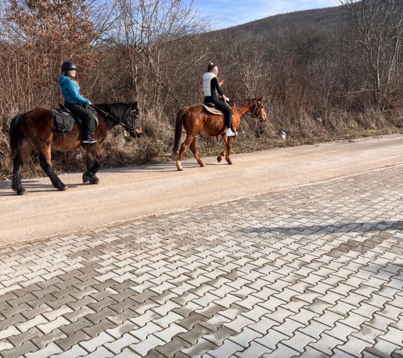 Photo of Others in Plitvicka Jezera