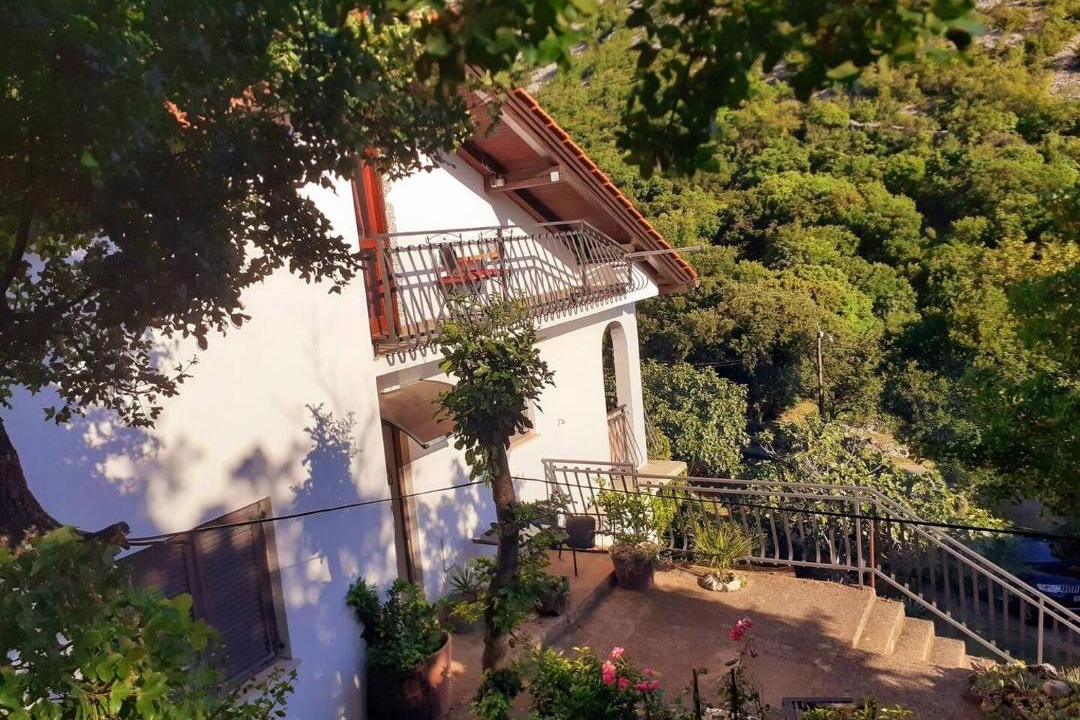 Photo of Others in Vratarusa