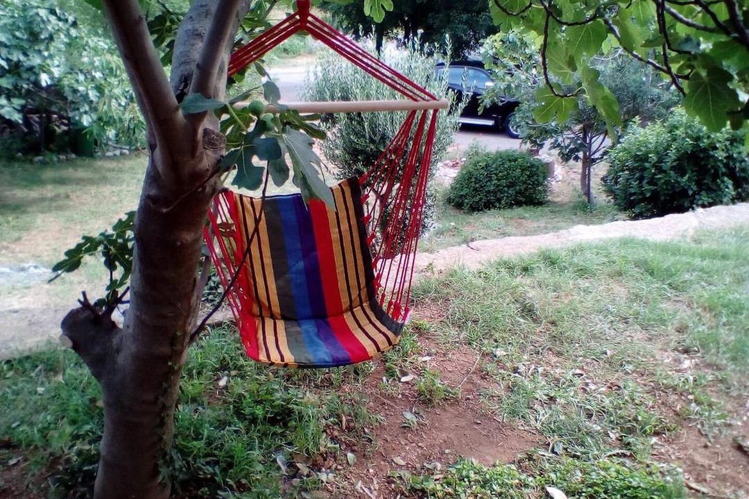 Photo of Others in Vratarusa