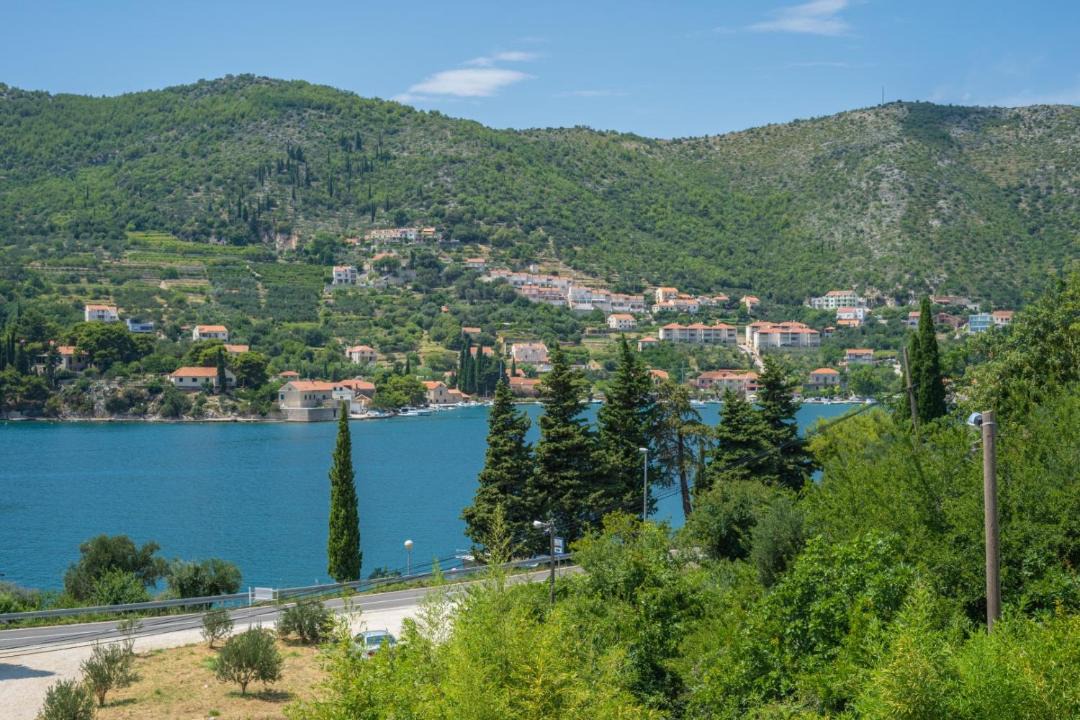 Photo of Others in Zaton