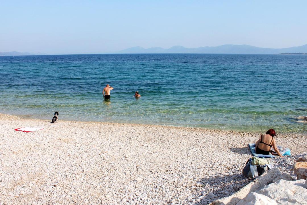 Photo of Others in Blato