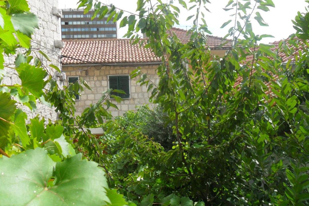 Photo of Others in Split