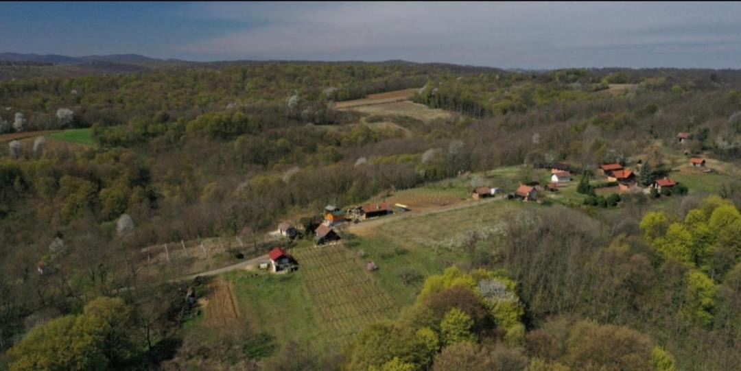 Photo of Others in Ludbreg