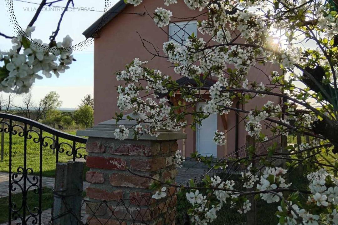 Photo of Others in Vrsac