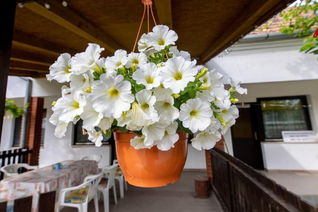 Photo of Patio Balcony in Gradiste