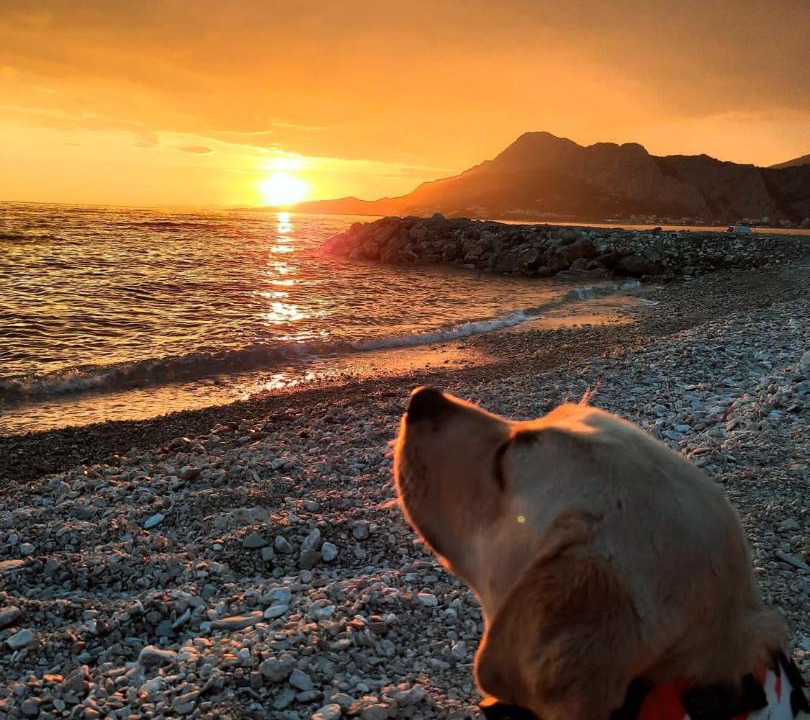 Photo of Others in Omis
