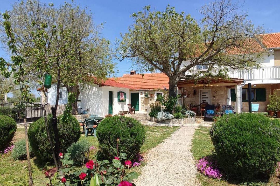 Photo of Others in Bristane