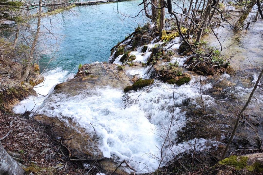 Photo of Others in Korenica