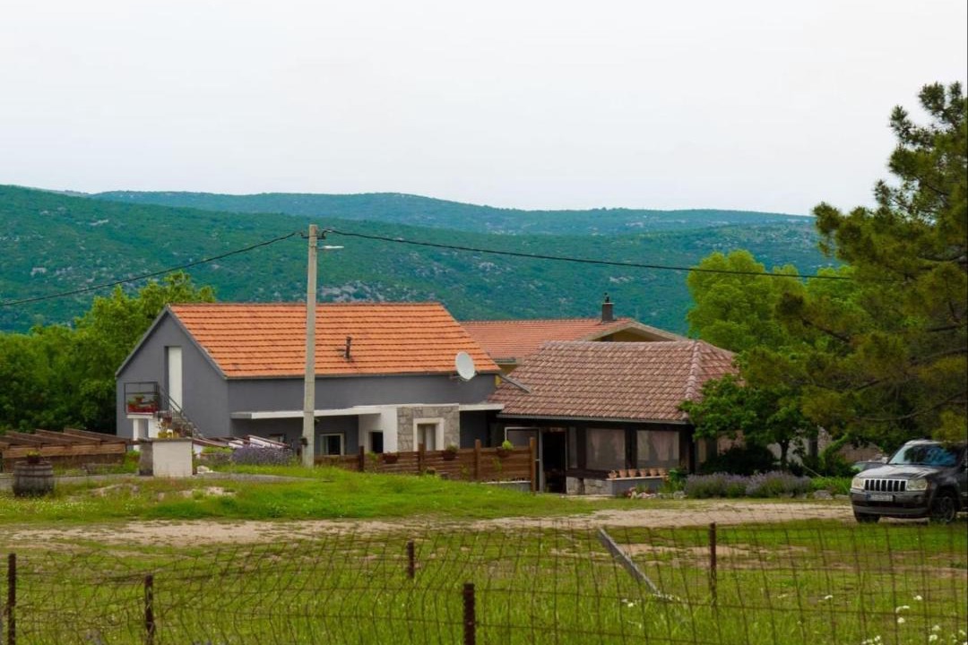 Photo of Others in Lecevica