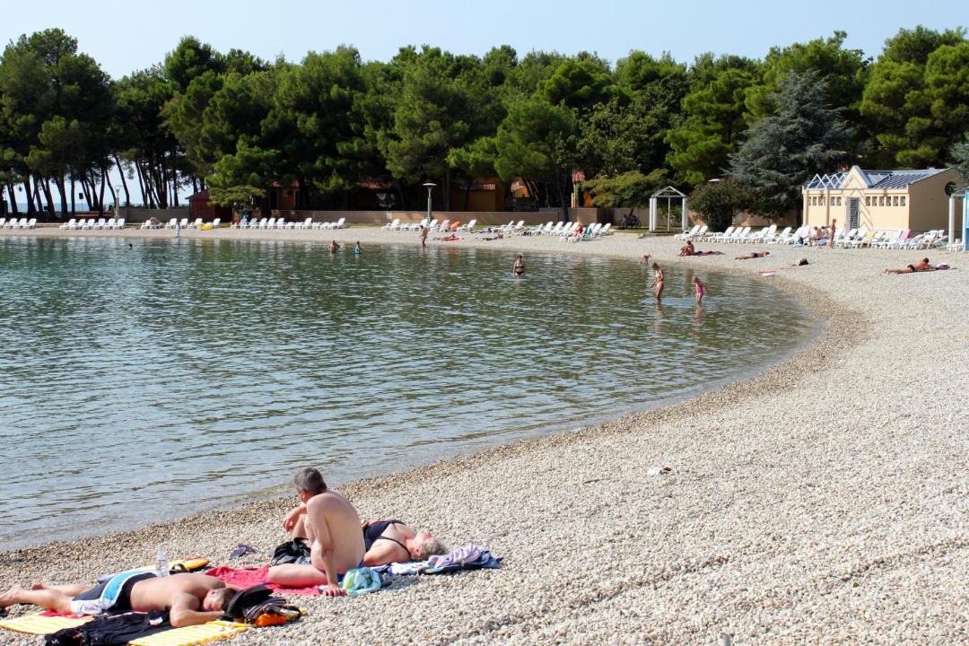 Photo of Others in Vardica
