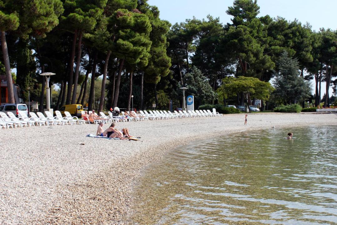 Photo of Others in Vardica