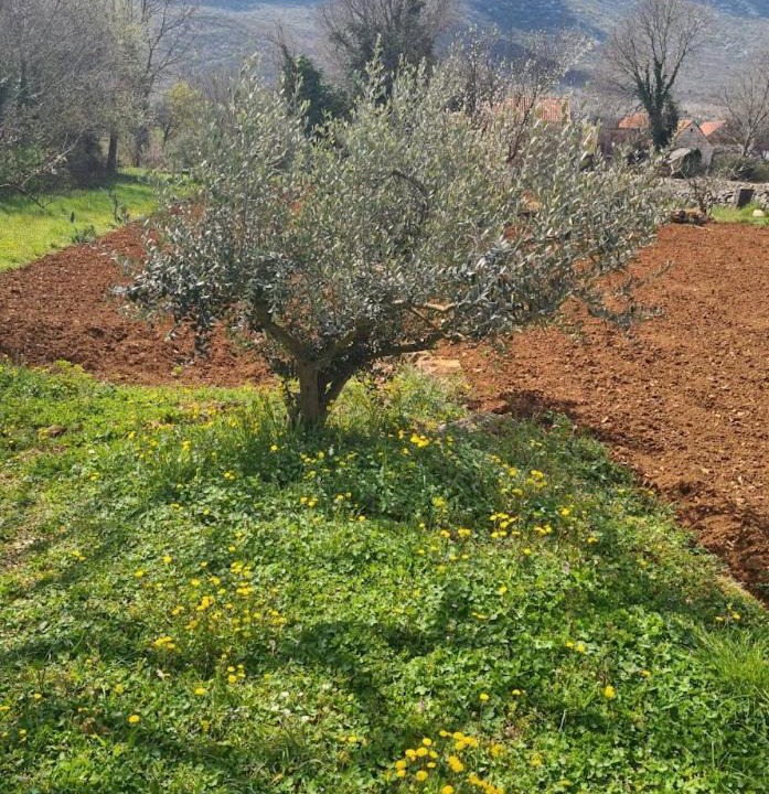Photo of Others in Dugopolje
