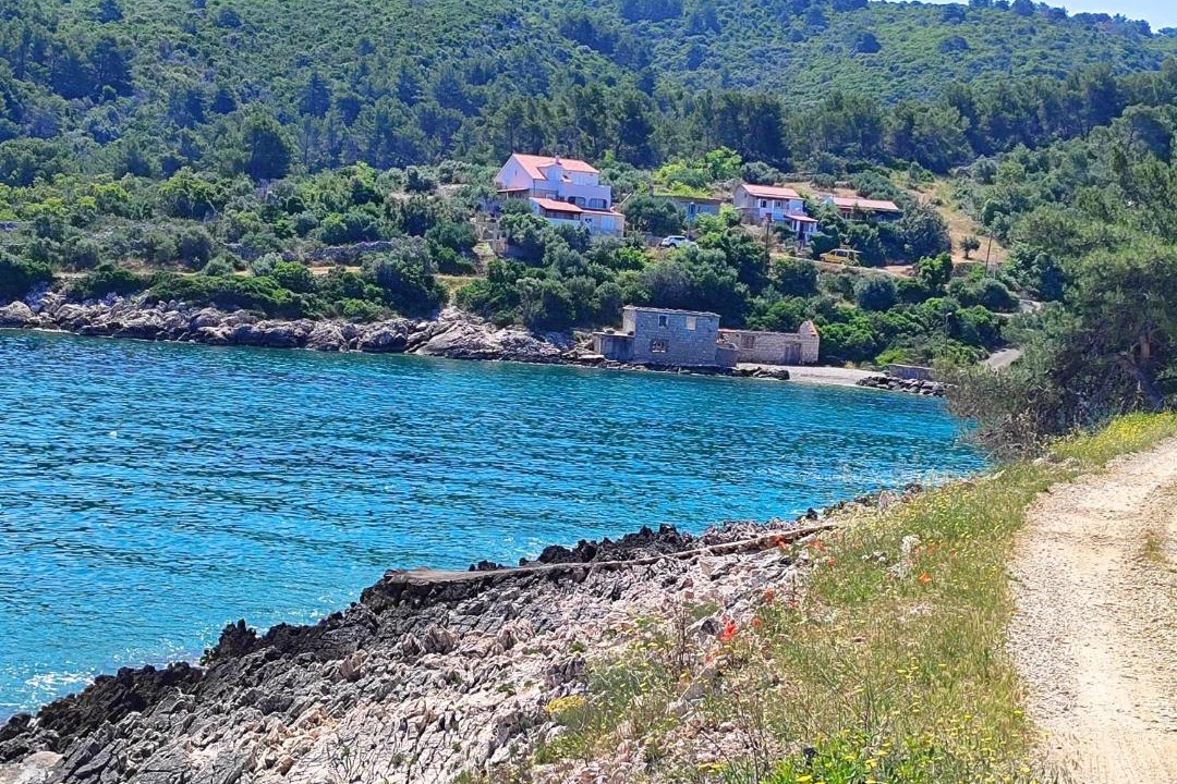 Photo of Others in Donje Selo