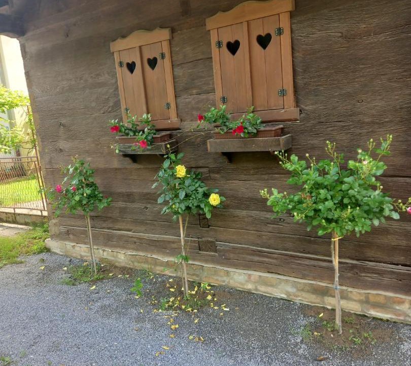 Photo of Others in Krapje
