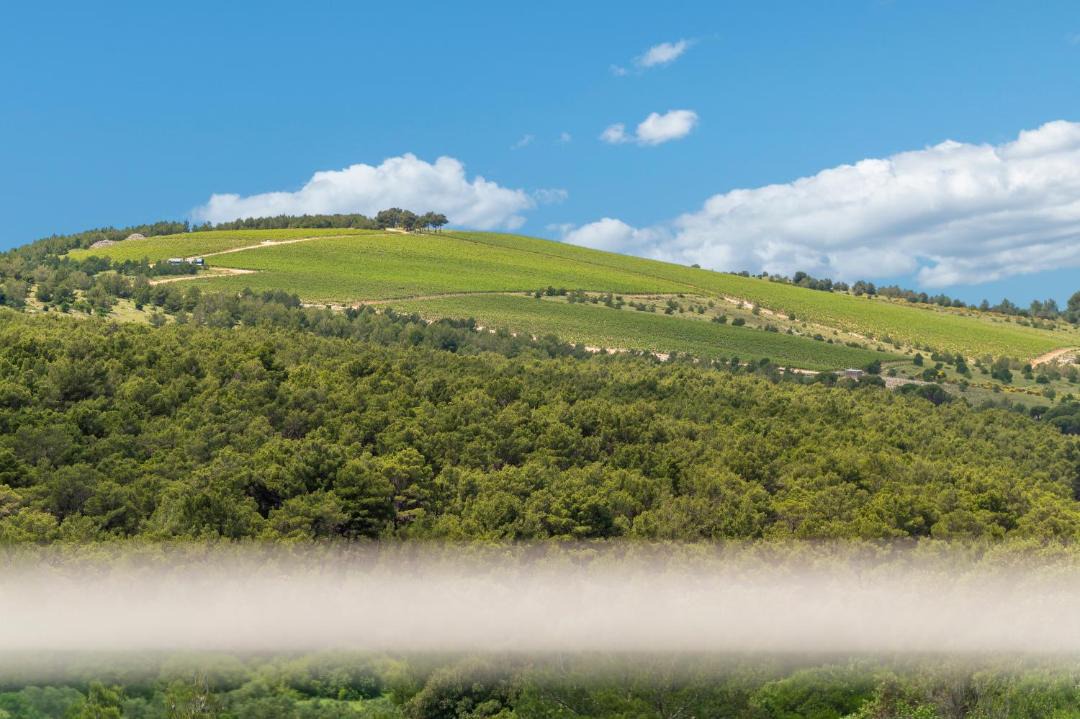 Photo of Others in Donje Polje