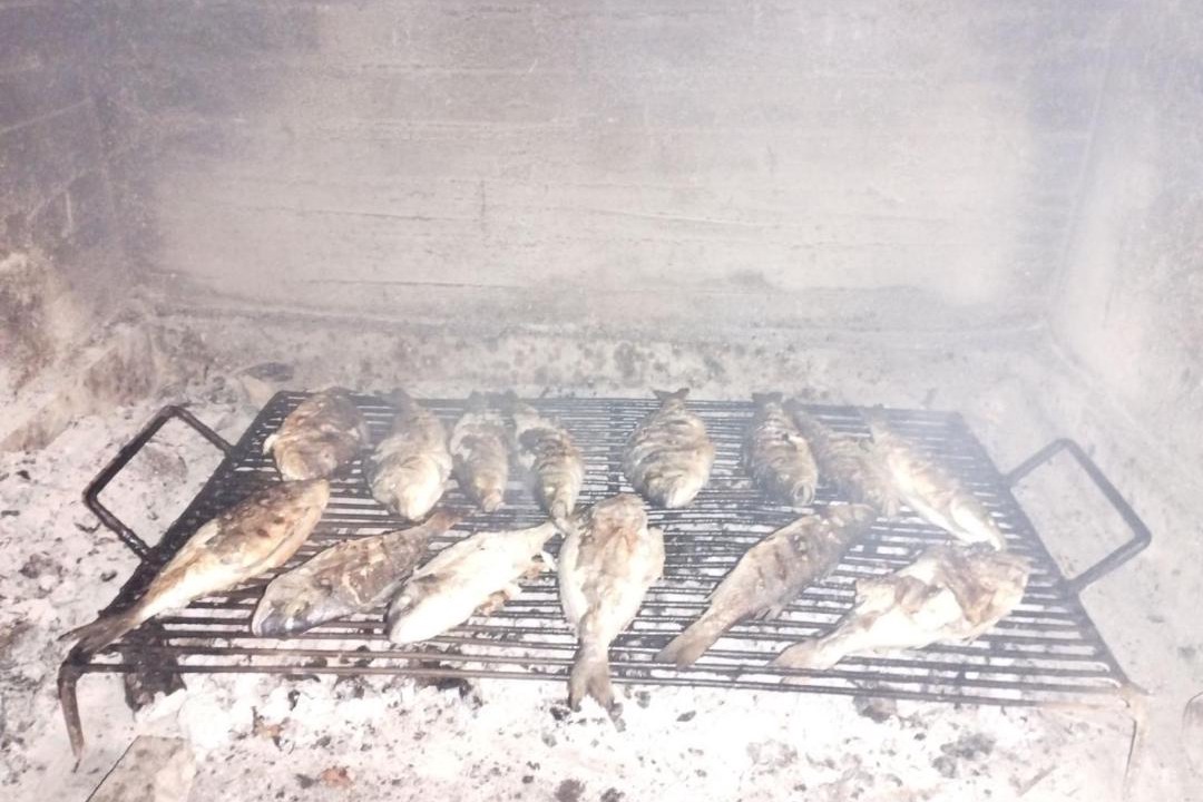 Photo of Others in Saplunara