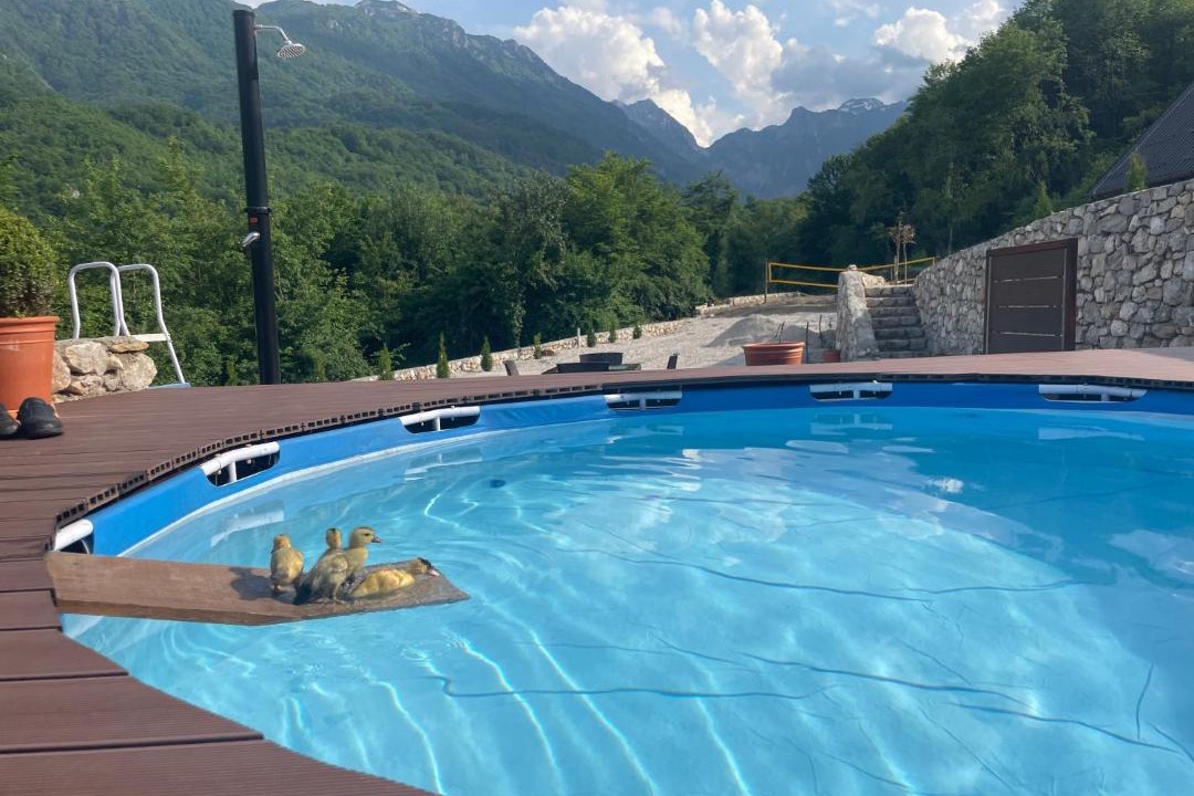 Photo of Others in Konjic