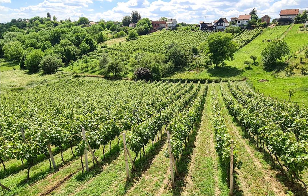 Photo of Others in Veliko Trojstvo