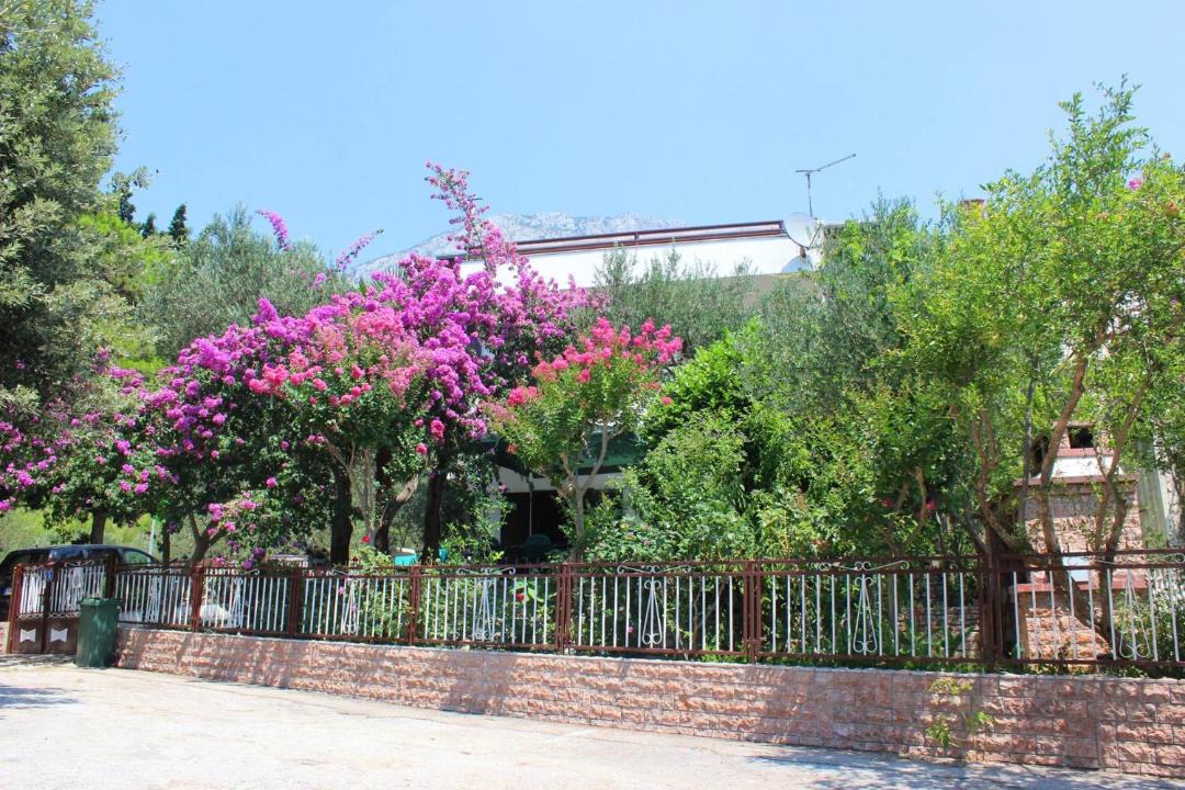 Photo of Others in Blato