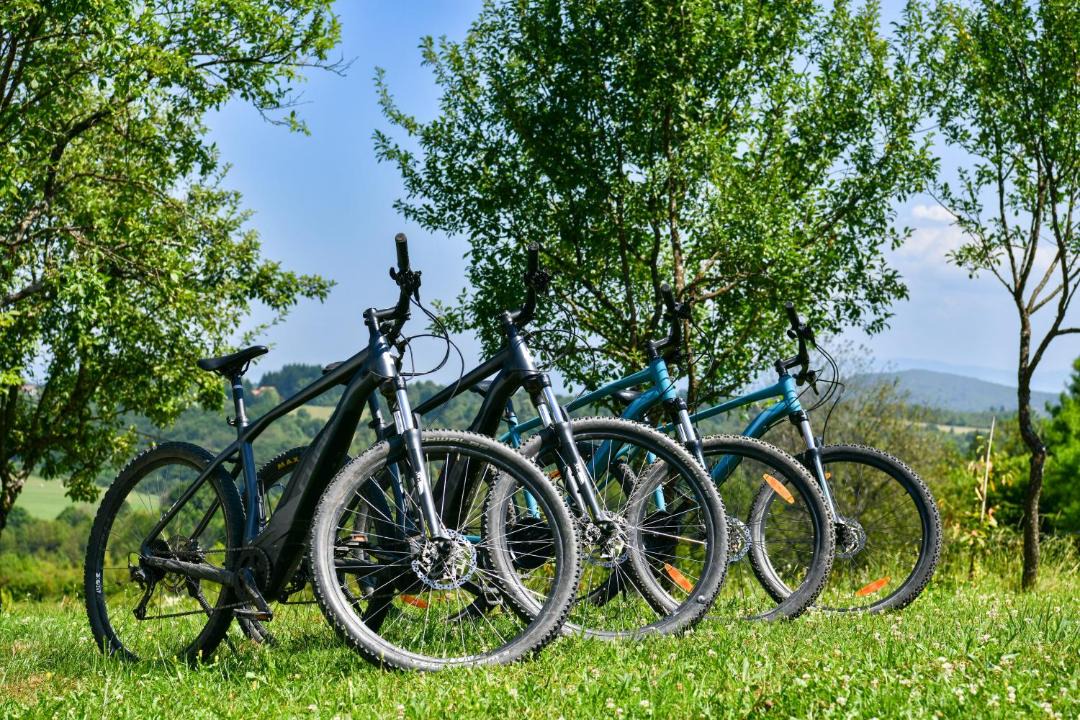 Photo of Others in Rakovica