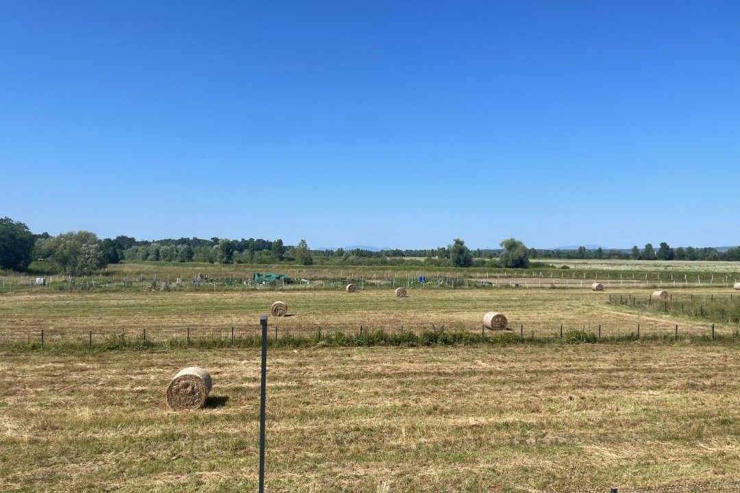Photo of Outdoor in Zapresic