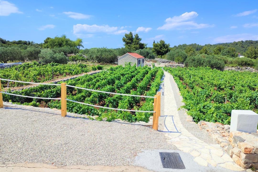 Photo of Others in Kneza