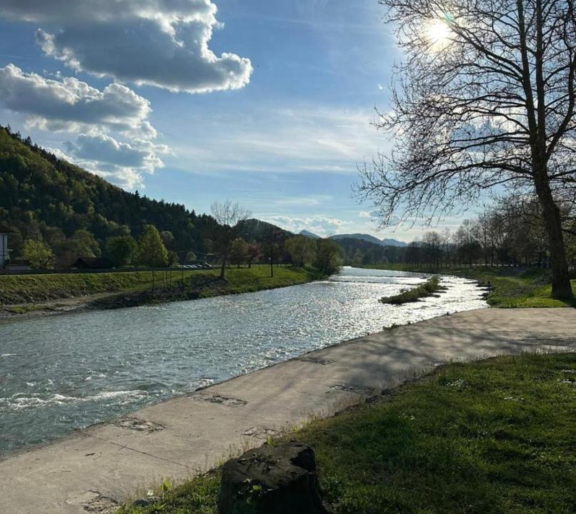 Photo of Others in Celje