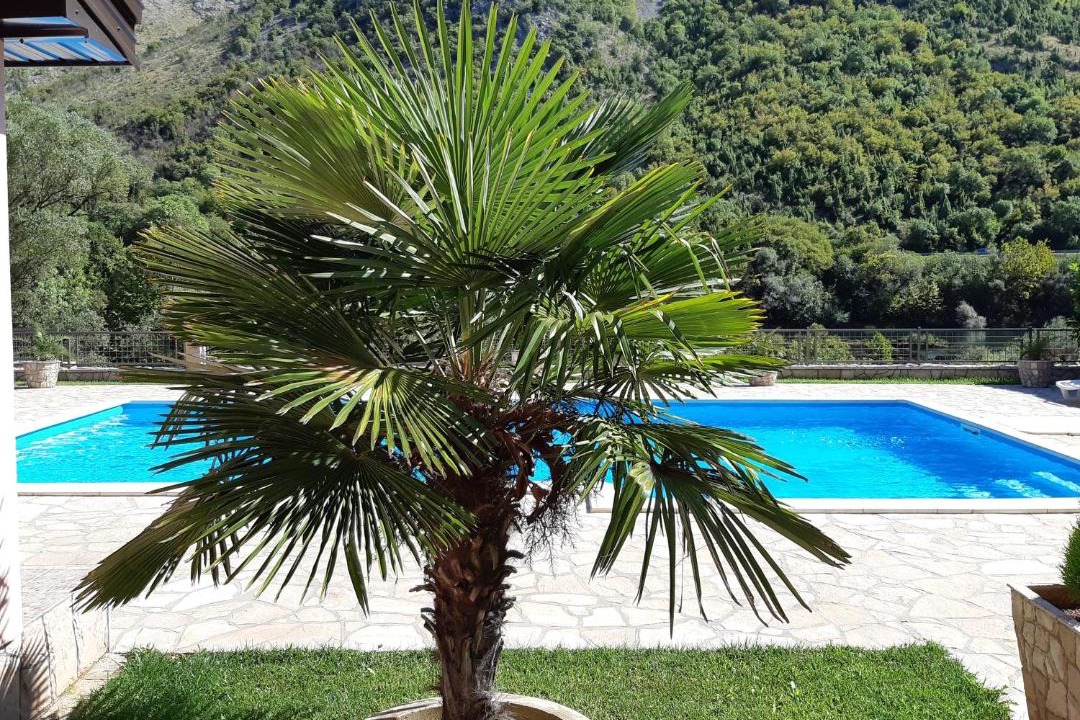 Photo of Others in Slipcici