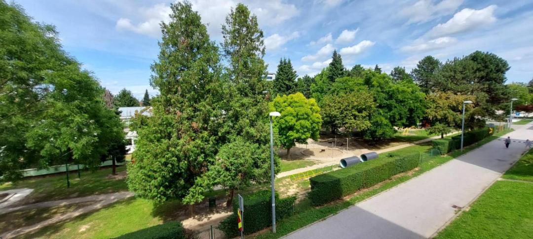 Photo of Others in Koprivnica