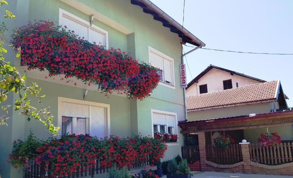 Photo of Others in Municipality of Gracac