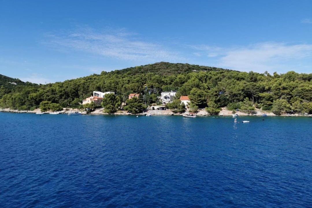 Photo of Others in Cove Murtar