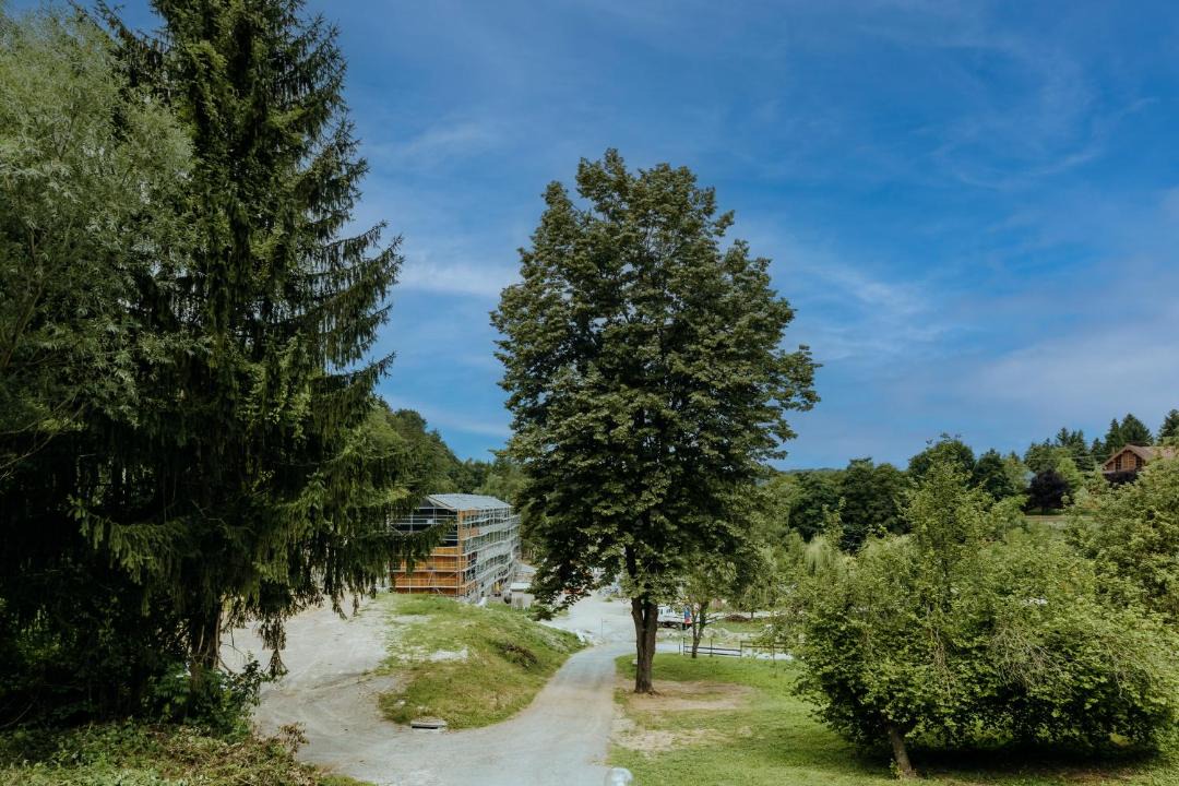 Photo of Others in Orahovica