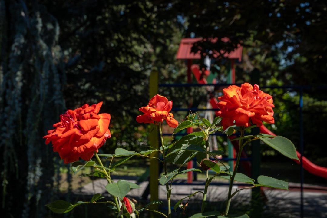 Photo of Others in Levanjska Varos