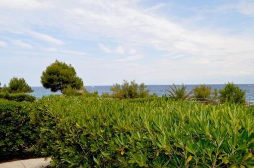 Photo of Outdoor in Susica