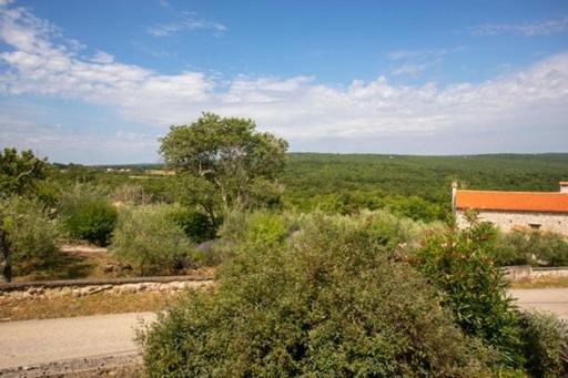 Photo of Outdoor in Ripenda Verbanci