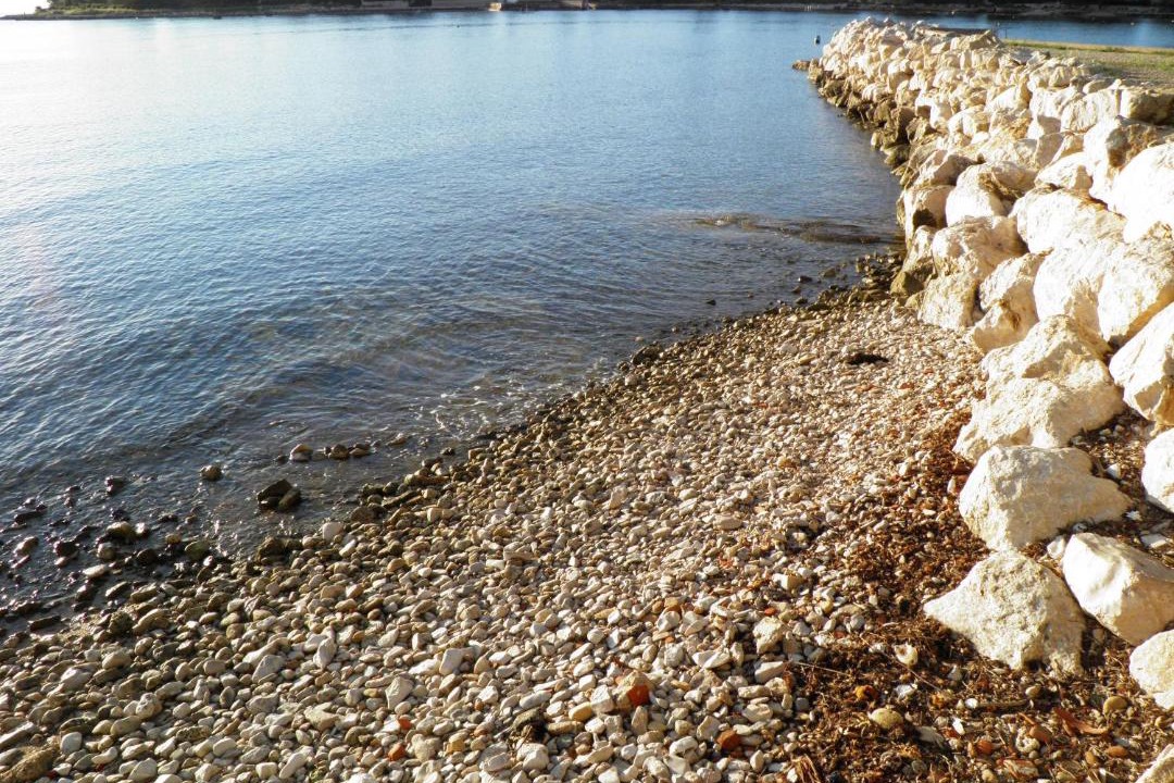 Photo of Others in Krizine