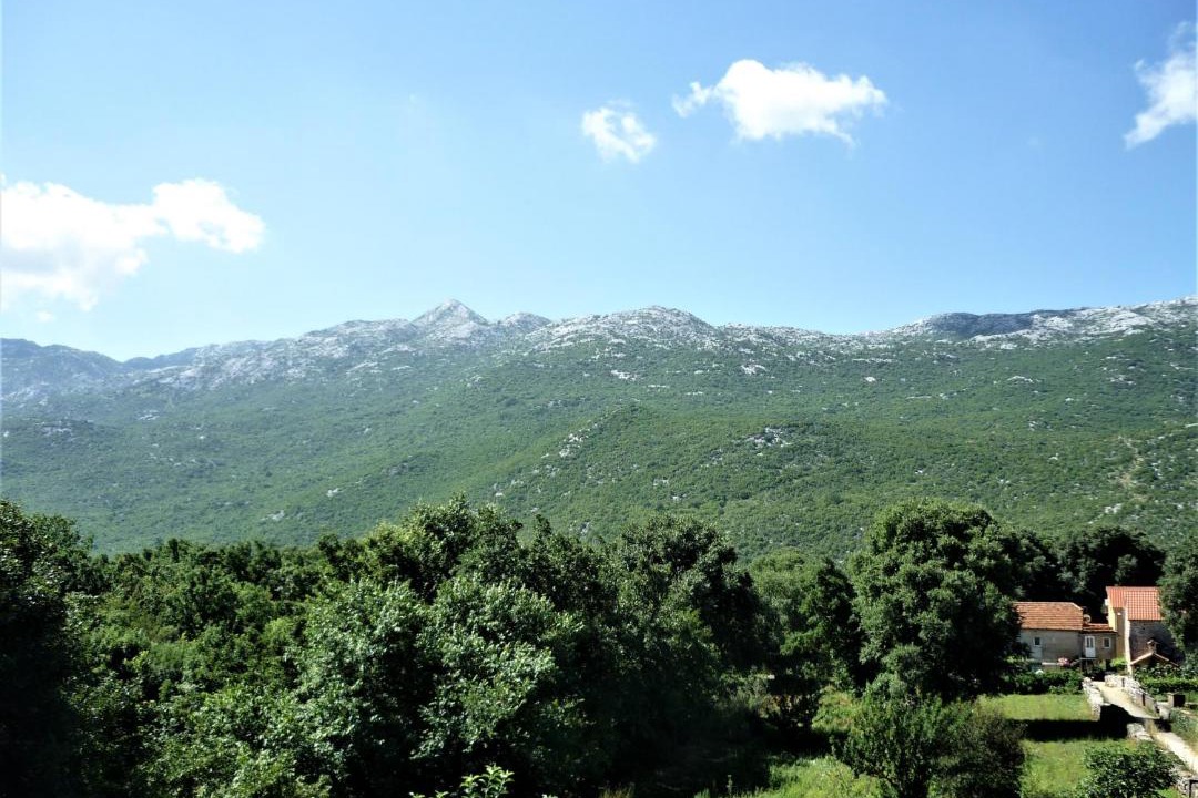 Photo of Others in Dugopolje
