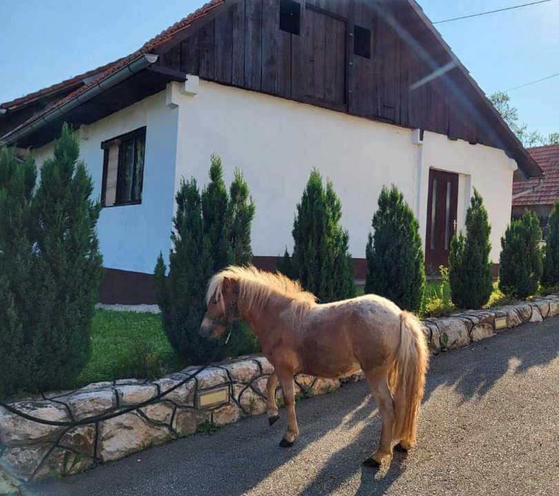 Photo of Buildings in Slunj