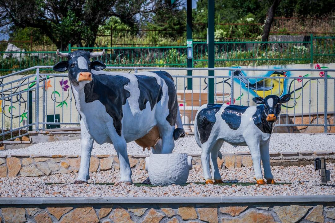Photo of Others in Lecevica