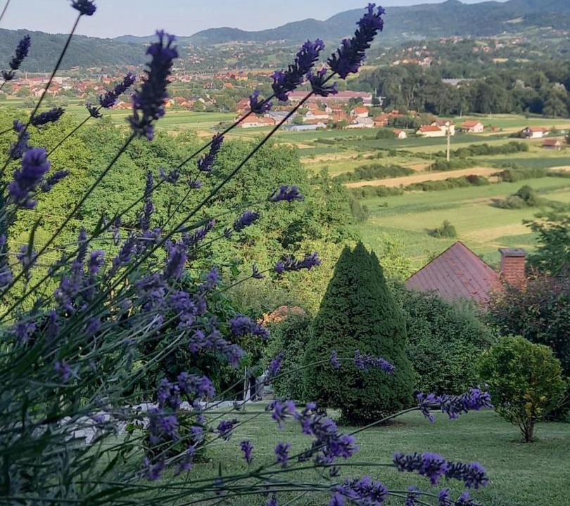 Photo of Others in Donja Stubica