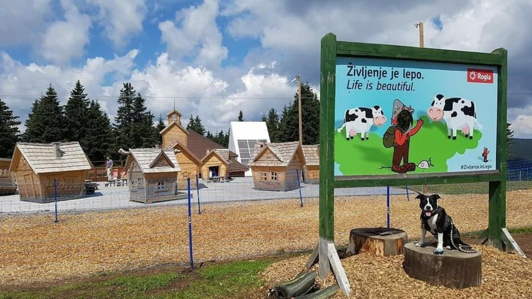 Photo of Others in Zrece