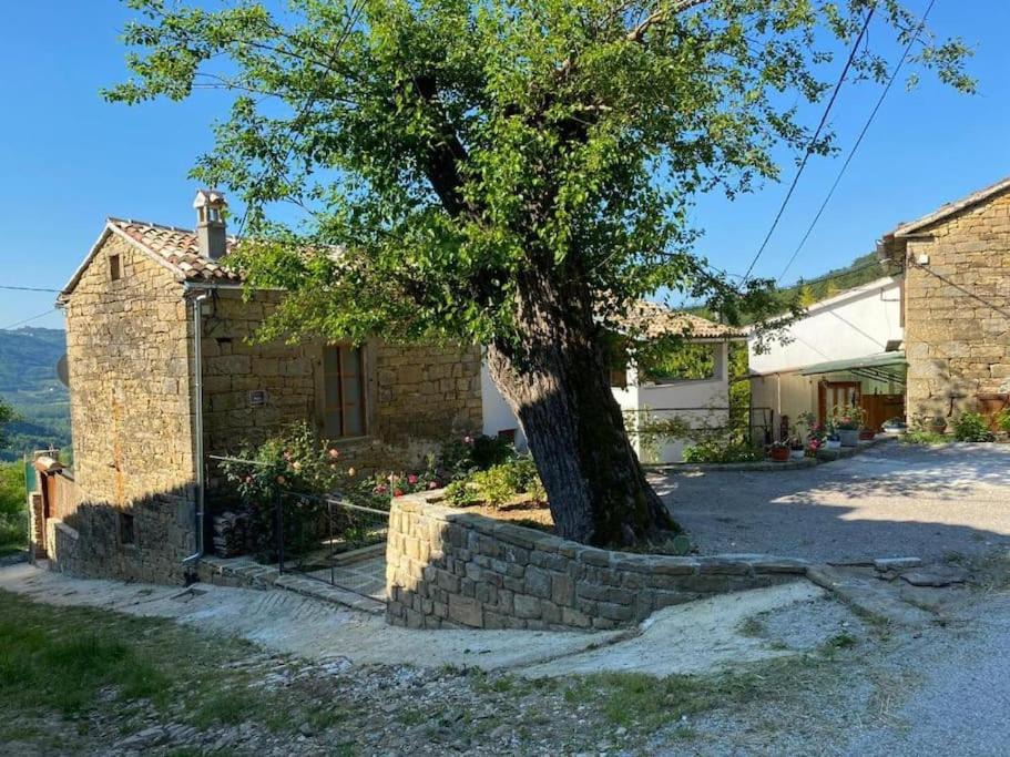 Photo of Others in Sovinjska Brda