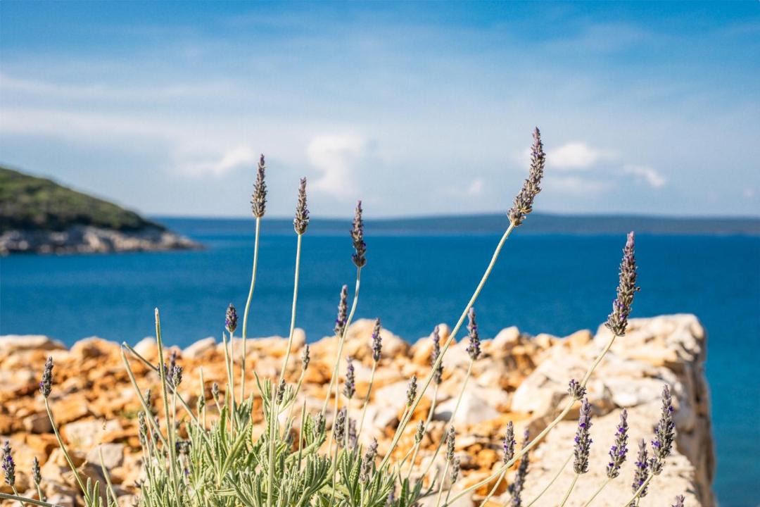 Photo of Outdoor in Mali Losinj