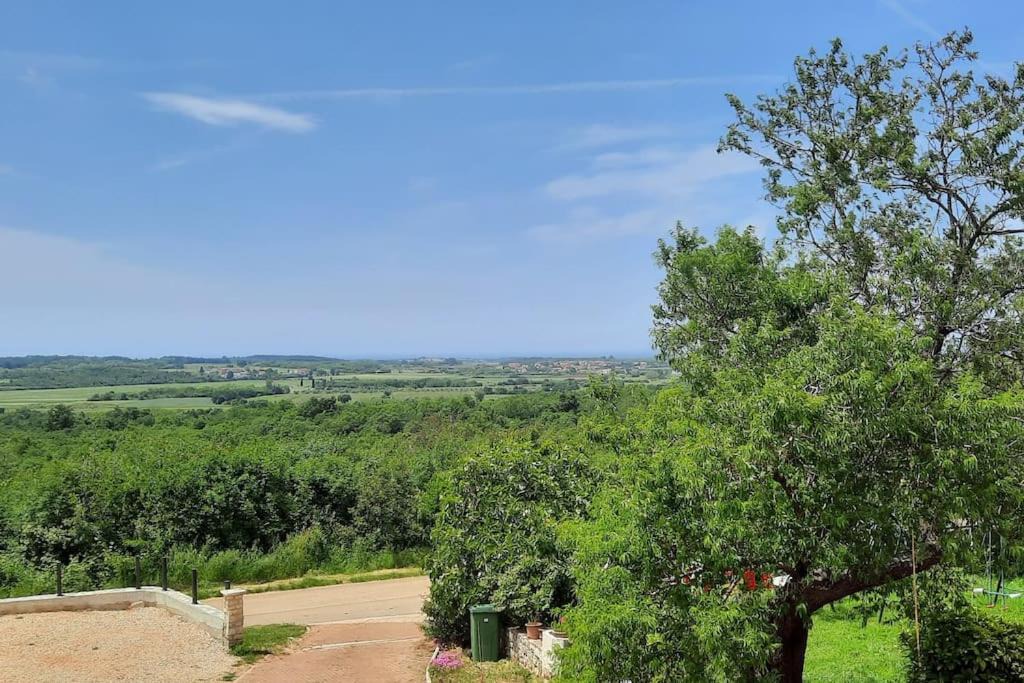 Photo of Outdoor in Vardica