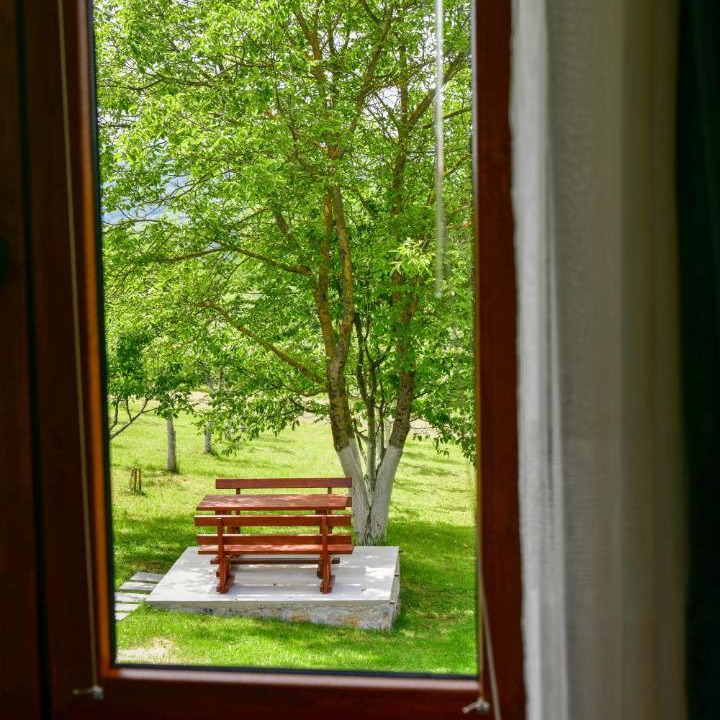Photo of Others in Dreznik Grad