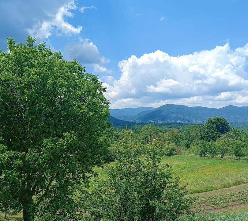 Photo of Others in Dreznik Grad