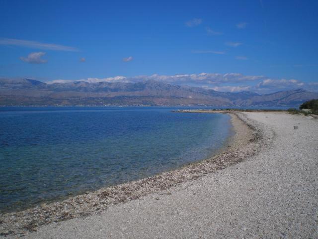 Photo of Others in Mirce